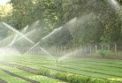 Hayneslandscaping-water-management-and-drainage-17.jpg; ?>